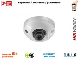 № 100071 Купить DS-2CD2523G0-IWS Иркутск