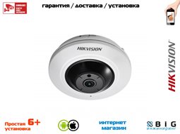 № 100097 Купить 5Мп fisheye IP-камера с ИК-подсветкой до 8м DS-2CD2955FWD-I Иркутск