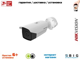 № 100500 Купить Тепловизионная цилиндрическая камера DS-2TD2117-6/V1 Иркутск